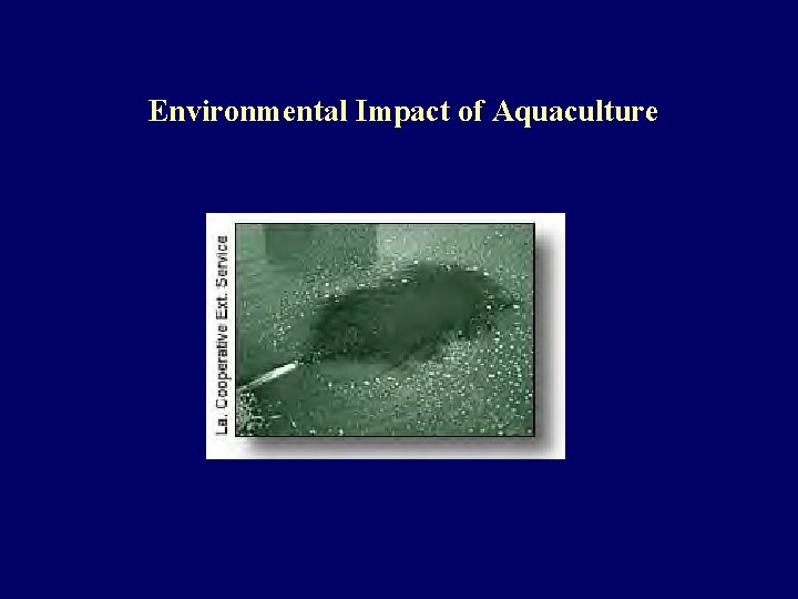 Environmental Impact of Aquaculture 