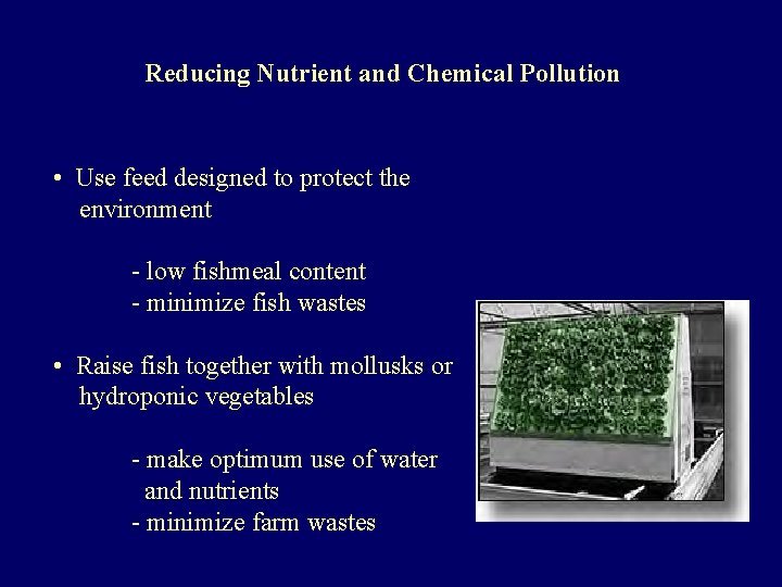 Reducing Nutrient and Chemical Pollution • Use feed designed to protect the environment -