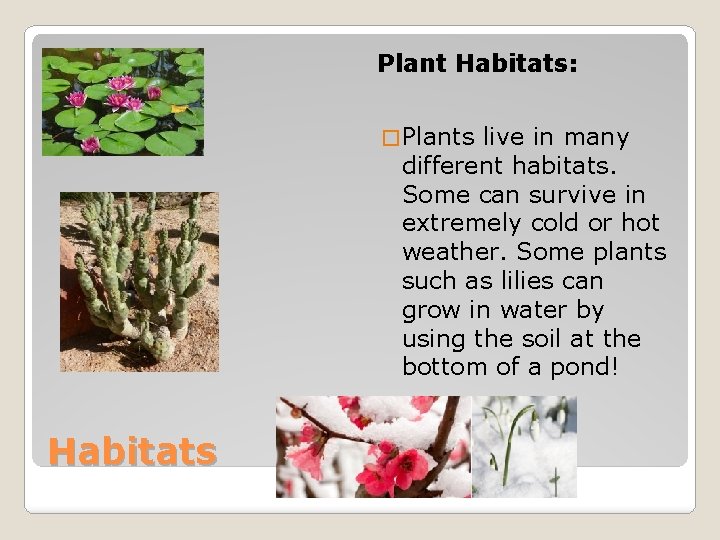 Plant Habitats: � Plants live in many different habitats. Some can survive in extremely