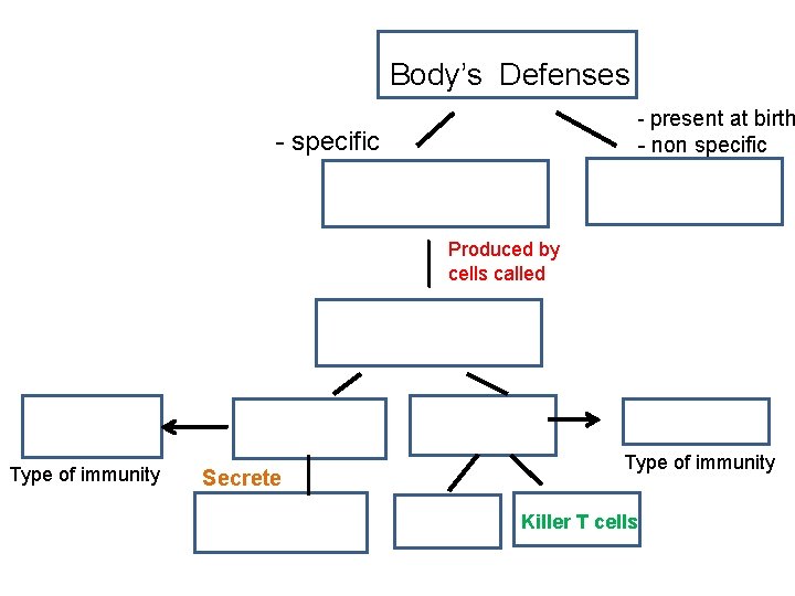 Body’s Defenses - present at birth - specific - non specific Produced by cells