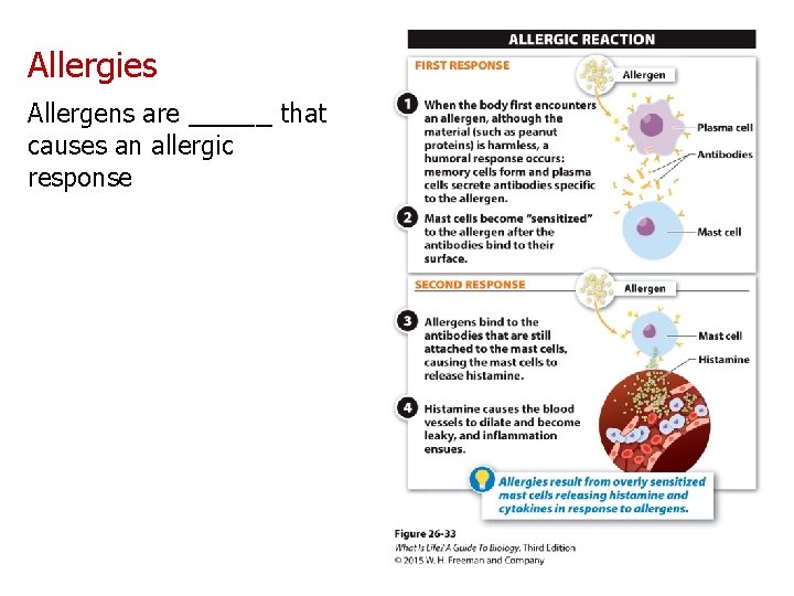 Allergies Allergens are _____ that causes an allergic response 