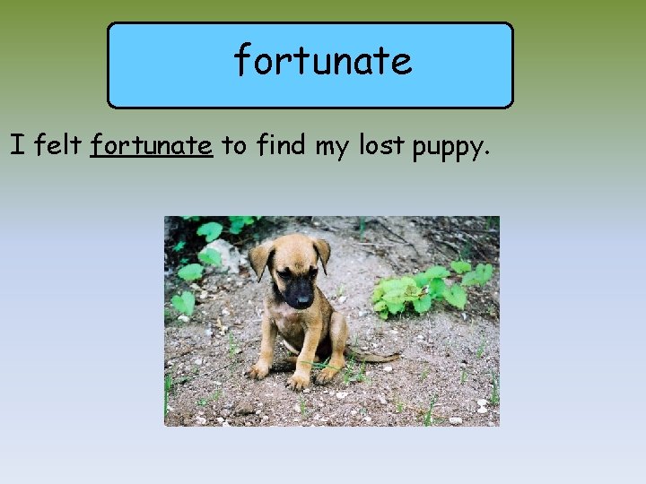 fortunate I felt fortunate to find my lost puppy. 