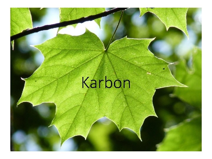 Karbon 