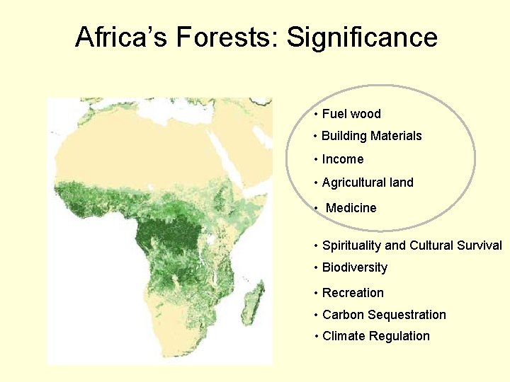 Africa’s Forests: Significance • Fuel wood • Building Materials • Income • Agricultural land