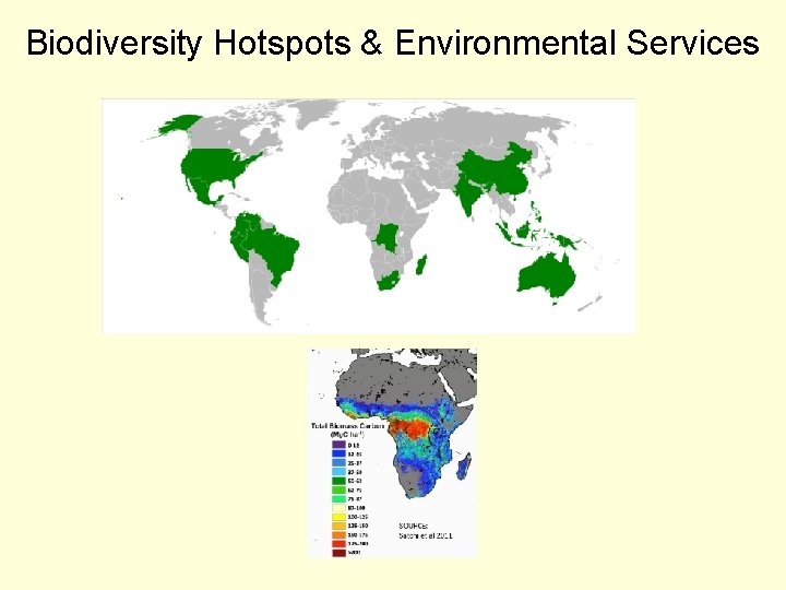 Biodiversity Hotspots & Environmental Services 