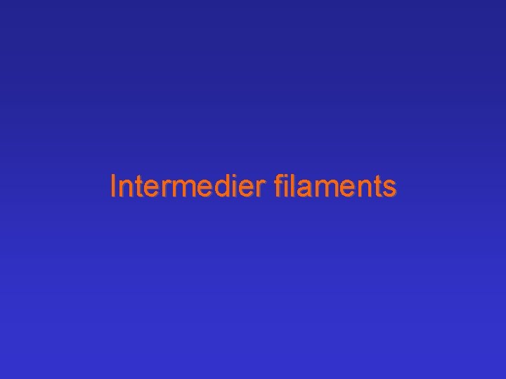 Intermedier filaments 