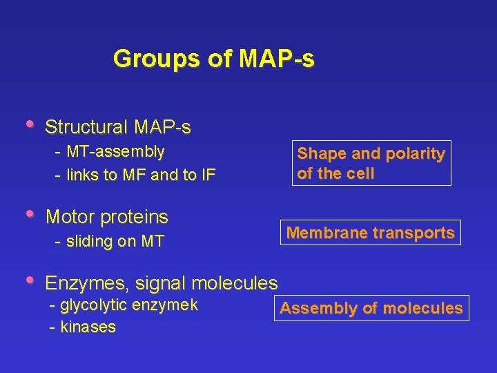 Groups of MAP-s • Structural MAP-s - MT-assembly - links to MF and to