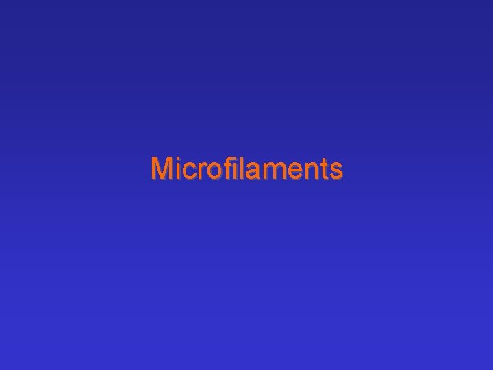 Microfilaments 