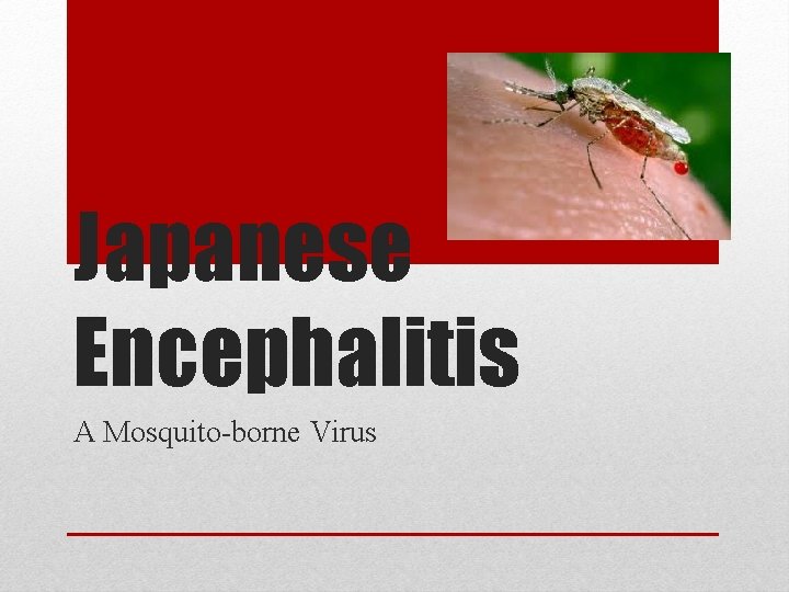 Japanese Encephalitis A Mosquito-borne Virus 