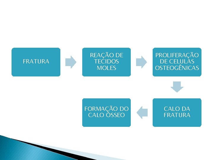 FRATURA REAÇÃO DE TECIDOS MOLES PROLIFERAÇÃO DE CELULAS OSTEOGÊNICAS FORMAÇÃO DO CALO ÓSSEO CALO