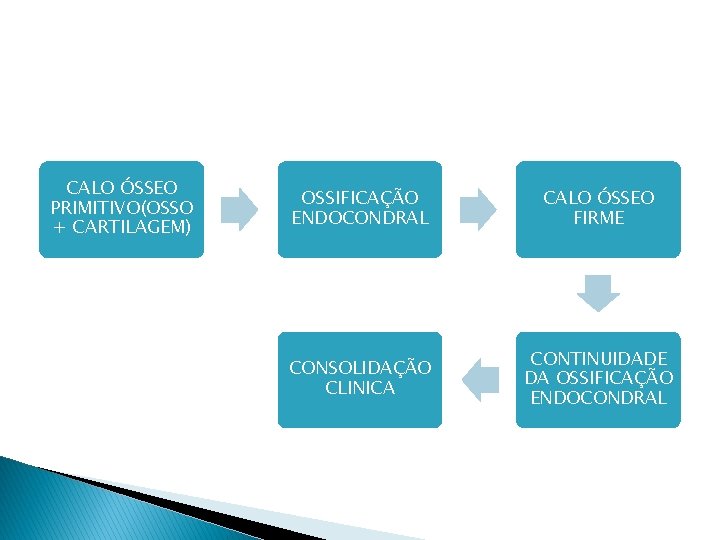 CALO ÓSSEO PRIMITIVO(OSSO + CARTILAGEM) OSSIFICAÇÃO ENDOCONDRAL CALO ÓSSEO FIRME CONSOLIDAÇÃO CLINICA CONTINUIDADE DA