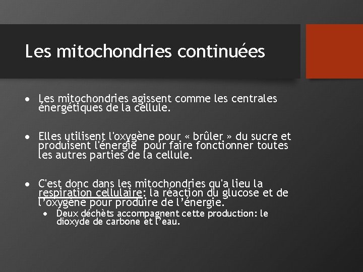 Les mitochondries continuées Les mitochondries agissent comme les centrales énergétiques de la cellule. Elles