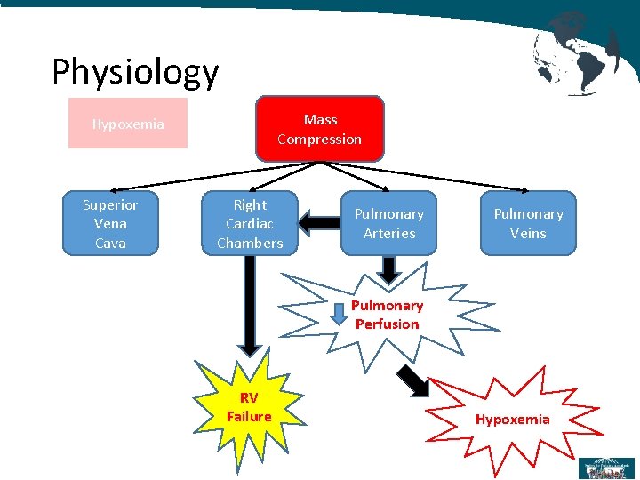 Physiology Mass Compression Hypoxemia Superior Vena Cava Right Cardiac Chambers Pulmonary Arteries Pulmonary Veins