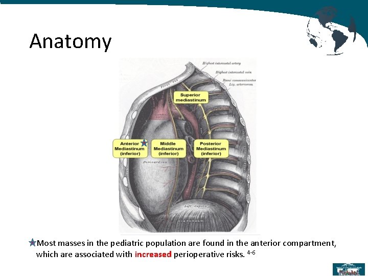 Anatomy Most masses in the pediatric population are found in the anterior compartment, which