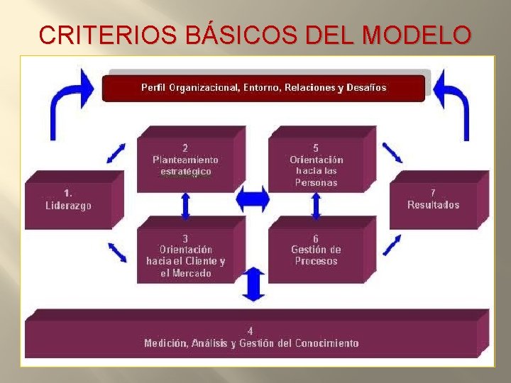 CRITERIOS BÁSICOS DEL MODELO 