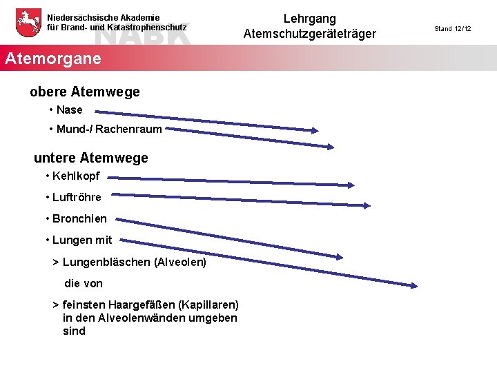 NABK Niedersächsische Akademie für Brand- und Katastrophenschutz Atemorgane obere Atemwege • Nase • Mund-/