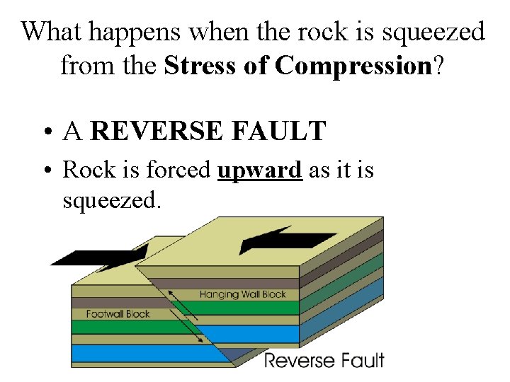 What happens when the rock is squeezed from the Stress of Compression? • A