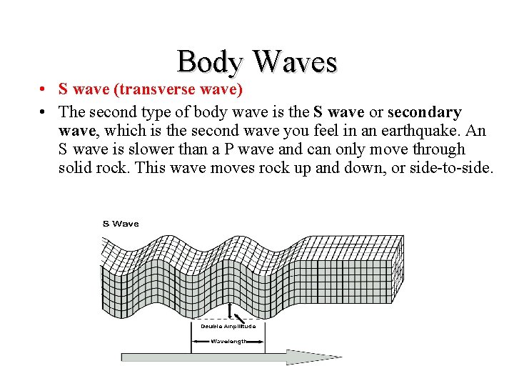 Body Waves • S wave (transverse wave) • The second type of body wave