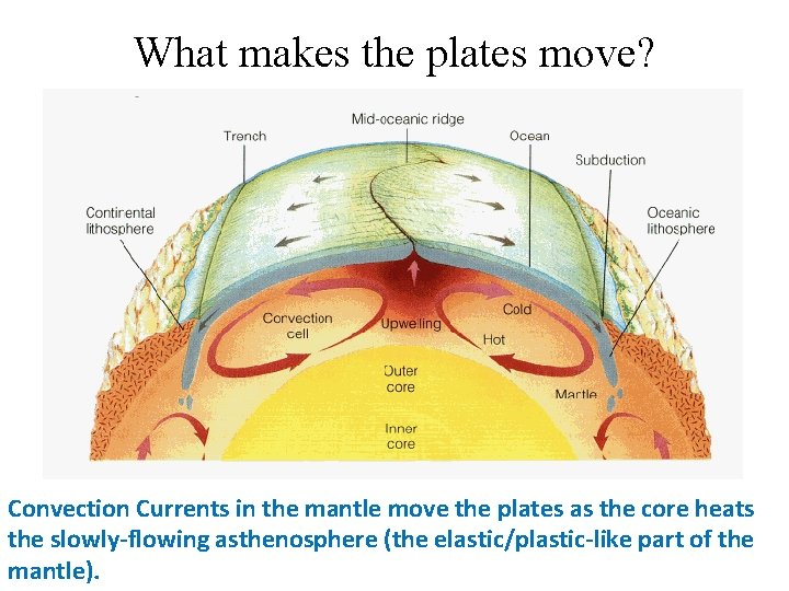 What makes the plates move? Convection Currents in the mantle move the plates as