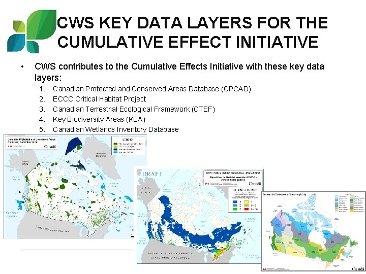 CWS KEY DATA LAYERS FOR THE CUMULATIVE EFFECT INITIATIVE • CWS contributes to the