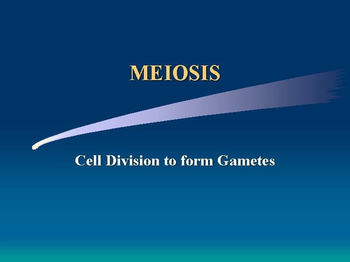 MEIOSIS Cell Division to form Gametes 