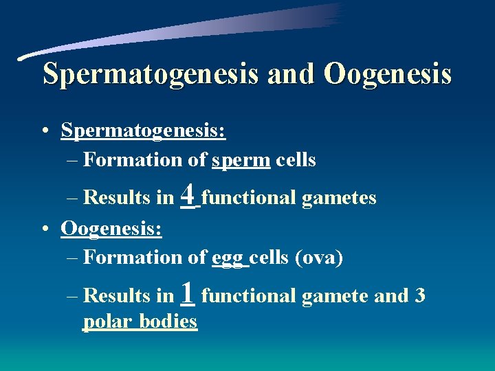 Spermatogenesis and Oogenesis • Spermatogenesis: – Formation of sperm cells – Results in 4