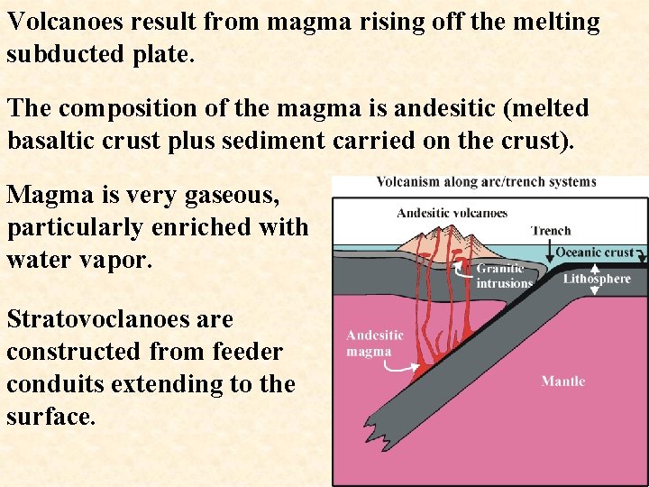 Volcanoes result from magma rising off the melting subducted plate. The composition of the