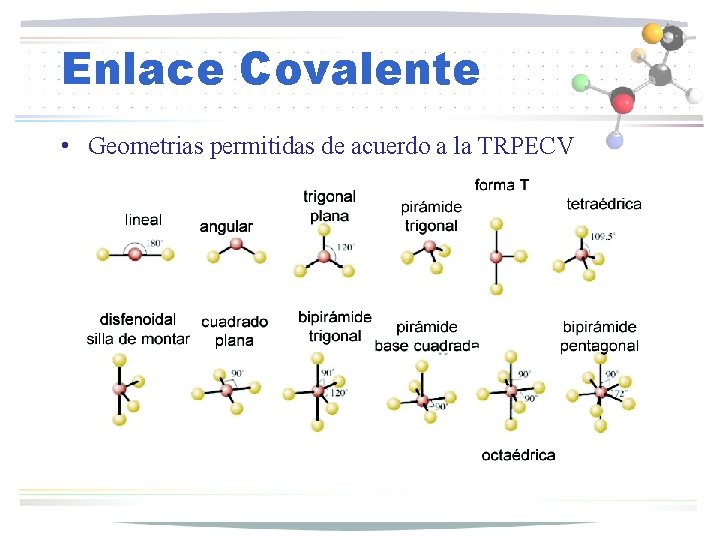 Enlace Covalente • Geometrias permitidas de acuerdo a la TRPECV 