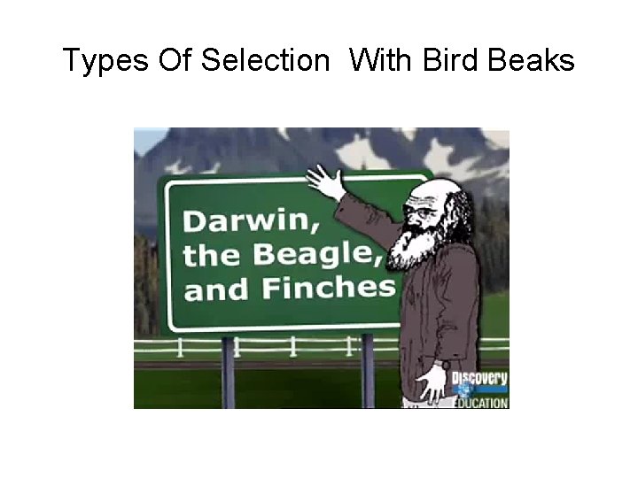 Types Of Selection With Bird Beaks http: //player. discoveryeducation. com/index. cfm? guid. Asset. Id=7016