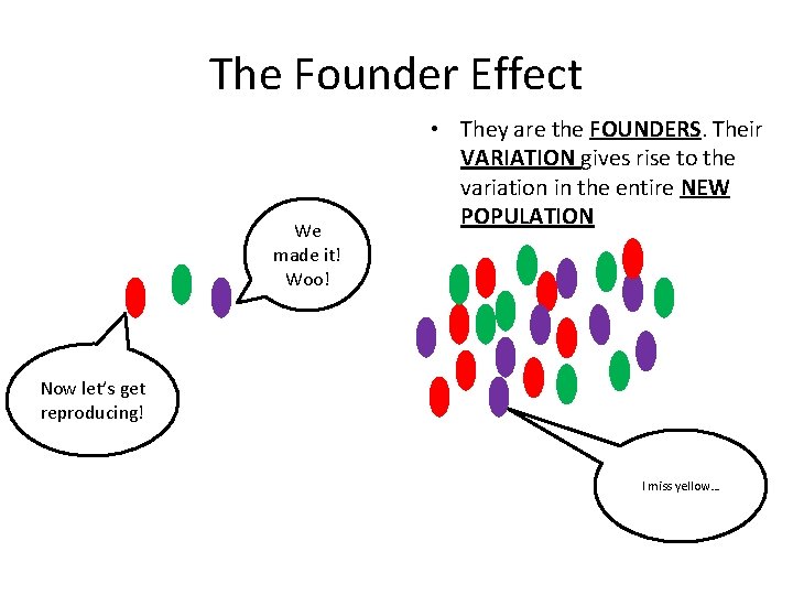 The Founder Effect We made it! Woo! • They are the FOUNDERS. Their VARIATION