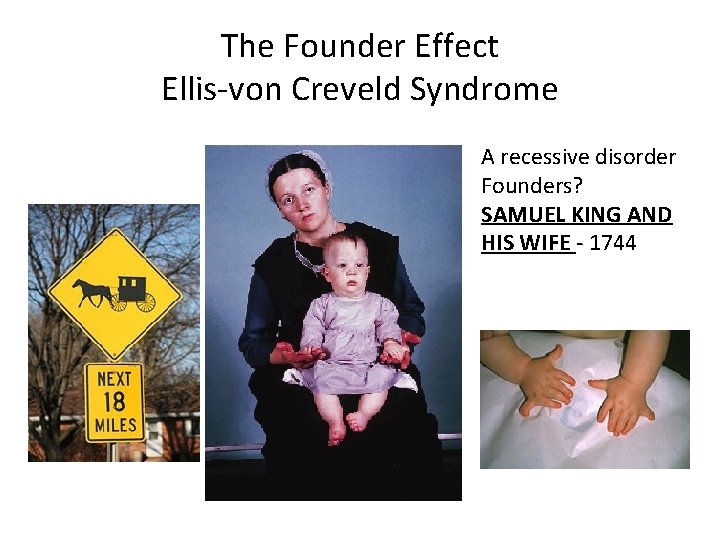 The Founder Effect Ellis-von Creveld Syndrome A recessive disorder Founders? SAMUEL KING AND HIS