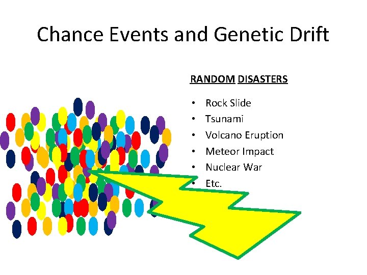 Chance Events and Genetic Drift RANDOM DISASTERS • • • Rock Slide Tsunami Volcano