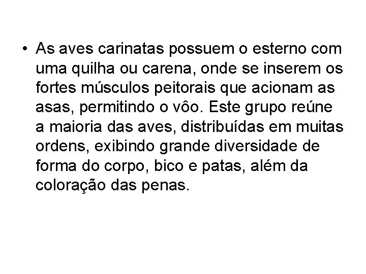  • As aves carinatas possuem o esterno com uma quilha ou carena, onde