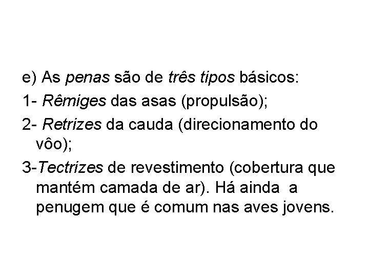 e) As penas são de três tipos básicos: 1 - Rêmiges das asas (propulsão);