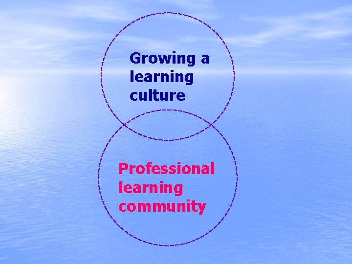 Growing a learning culture Professional learning community 