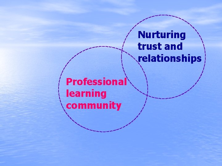 Nurturing trust and relationships Professional learning community 