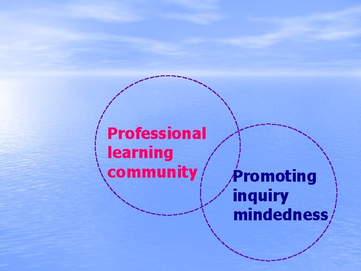 Professional learning community Promoting inquiry mindedness 