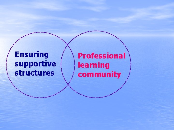 Ensuring supportive structures Professional learning community 