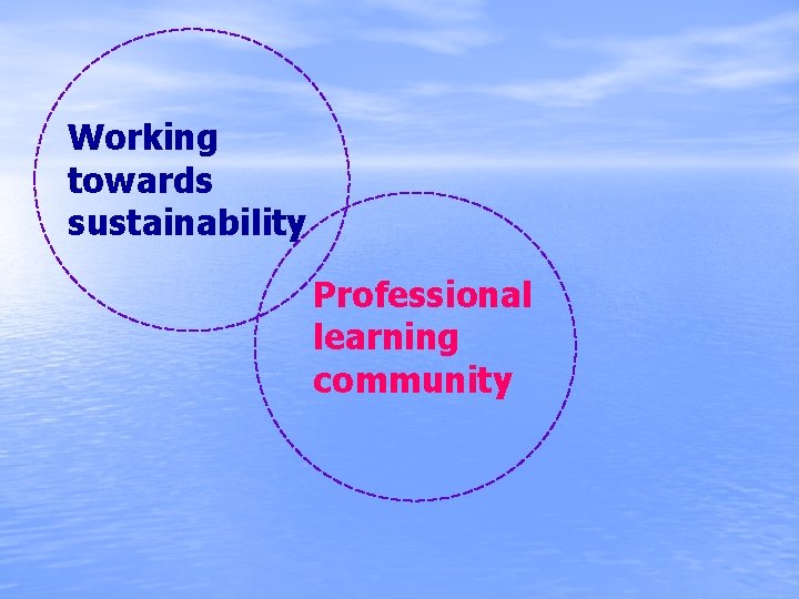 Working towards sustainability Professional learning community 