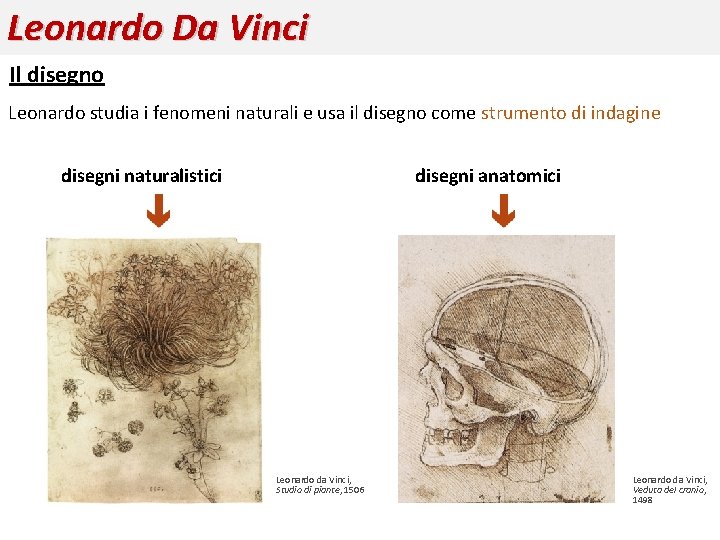 Leonardo Da Vinci Il disegno Leonardo studia i fenomeni naturali e usa il disegno