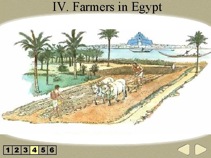 IV. Farmers in Egypt 1 2 3 4 5 6 