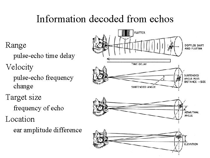 Information decoded from echos Range pulse-echo time delay Velocity pulse-echo frequency change Target size