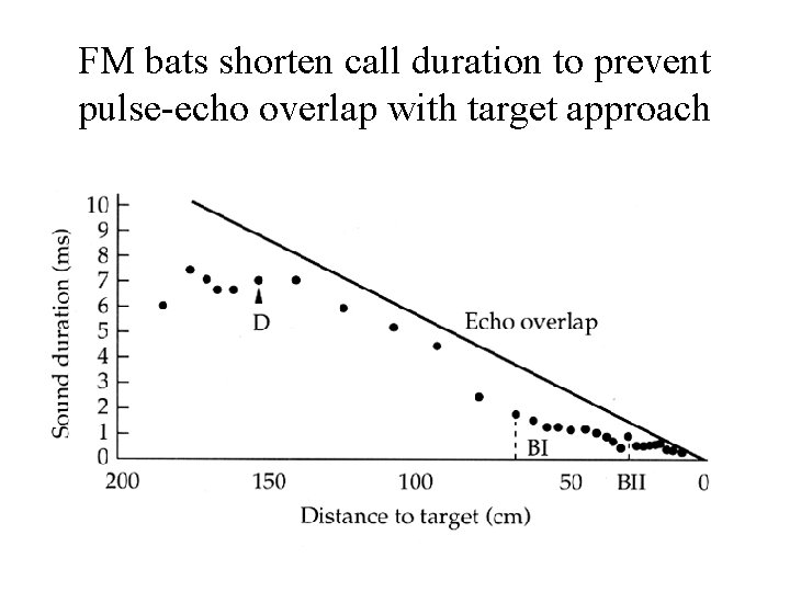 FM bats shorten call duration to prevent pulse-echo overlap with target approach 