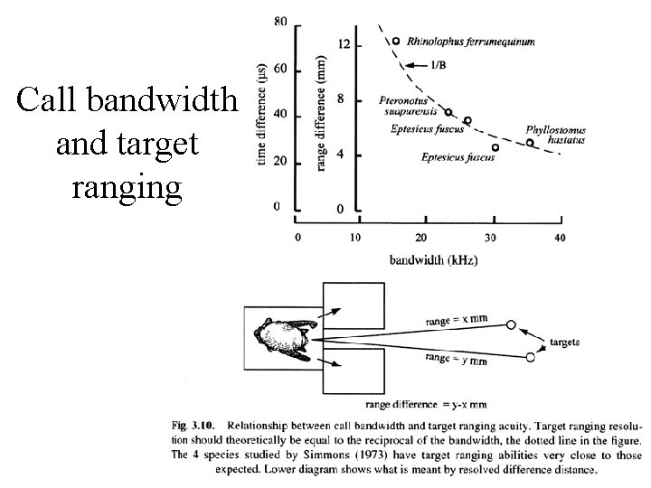 Call bandwidth and target ranging 