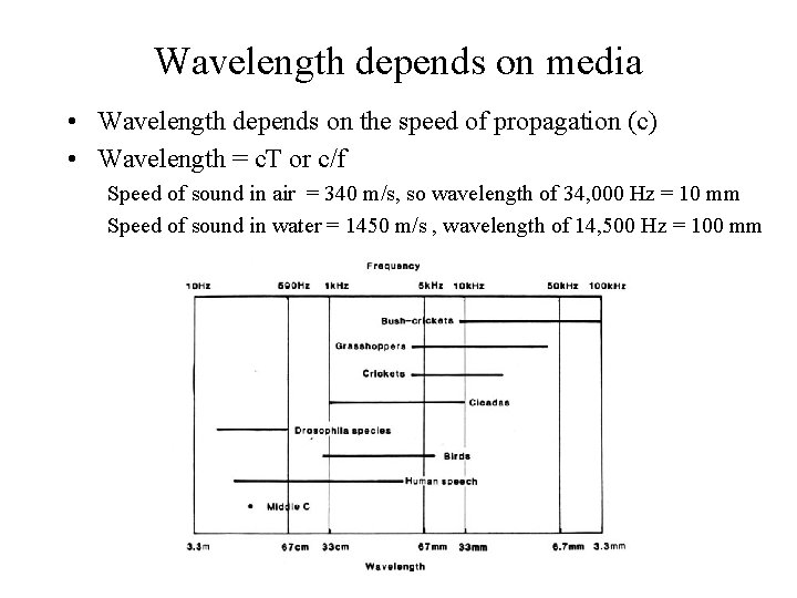 Wavelength depends on media • Wavelength depends on the speed of propagation (c) •