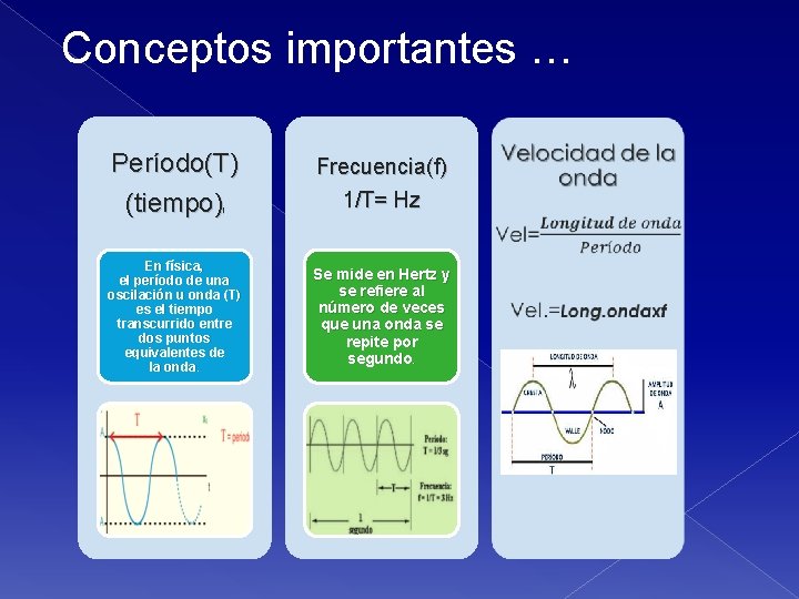 Conceptos importantes … Período(T) (tiempo) Frecuencia(f) 1/T= Hz En física, el período de una