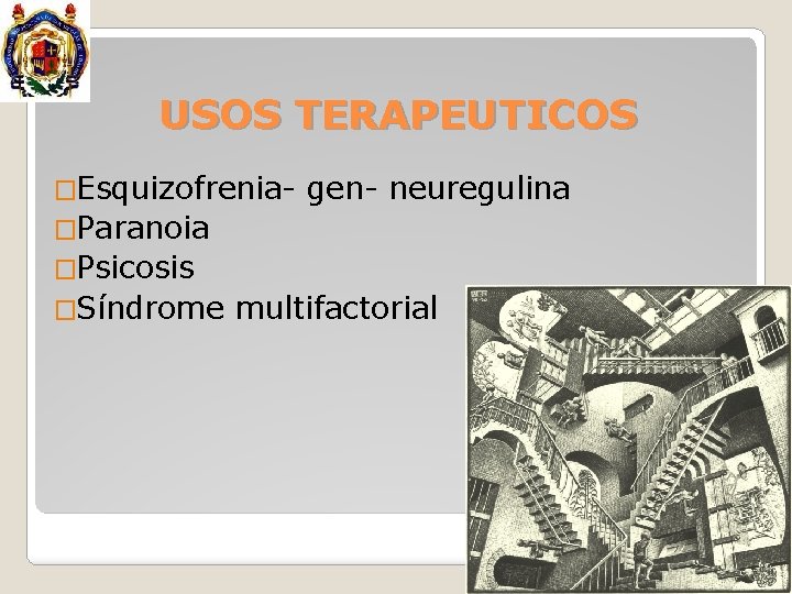 USOS TERAPEUTICOS �Esquizofrenia- gen- neuregulina �Paranoia �Psicosis �Síndrome multifactorial 