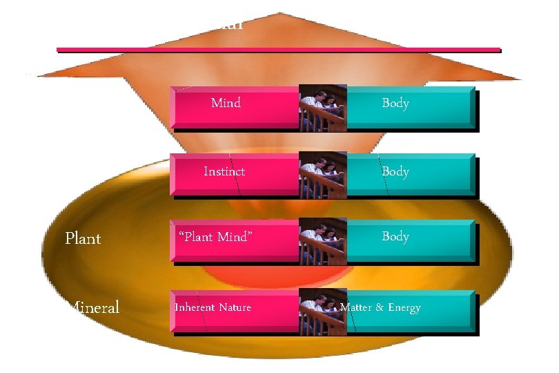 Internal & External Human Mind Body Animal Instinct Body Plant “Plant Mind” Mineral Inherent
