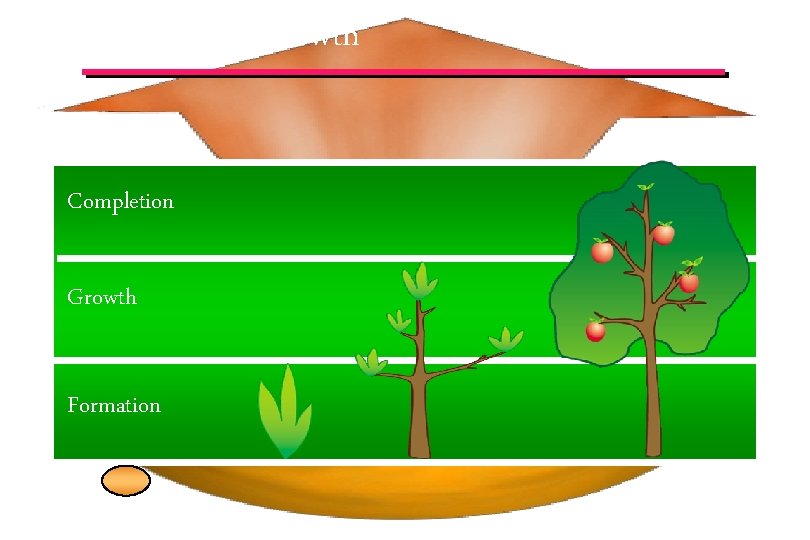 Process of Growth Completion Growth Formation © IEF 28 