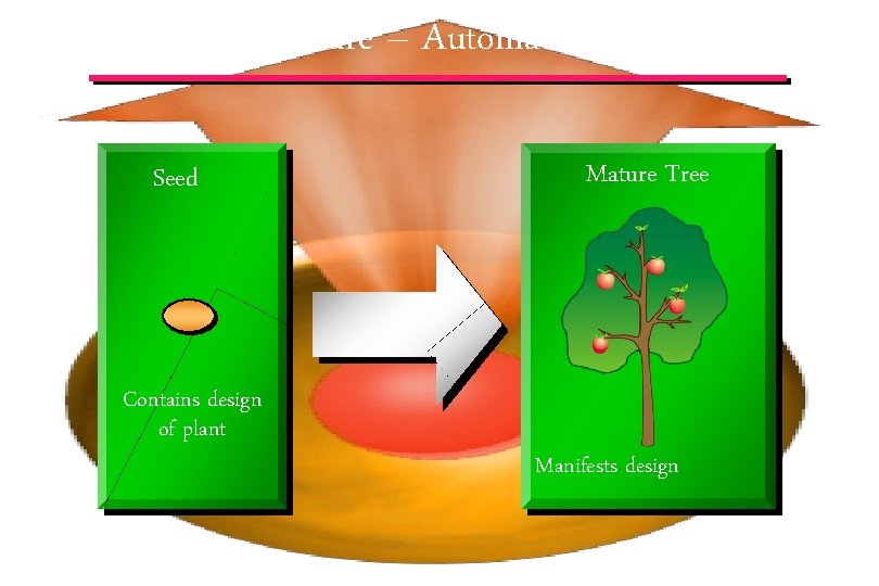Growth in Nature – Automatic Seed Contains design of plant Mature Tree Manifests design